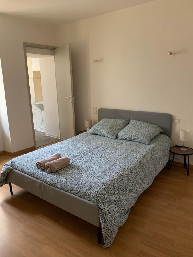 Ravissant Appartement T3 Hypercentre De Mazamet Zewnętrze zdjęcie
